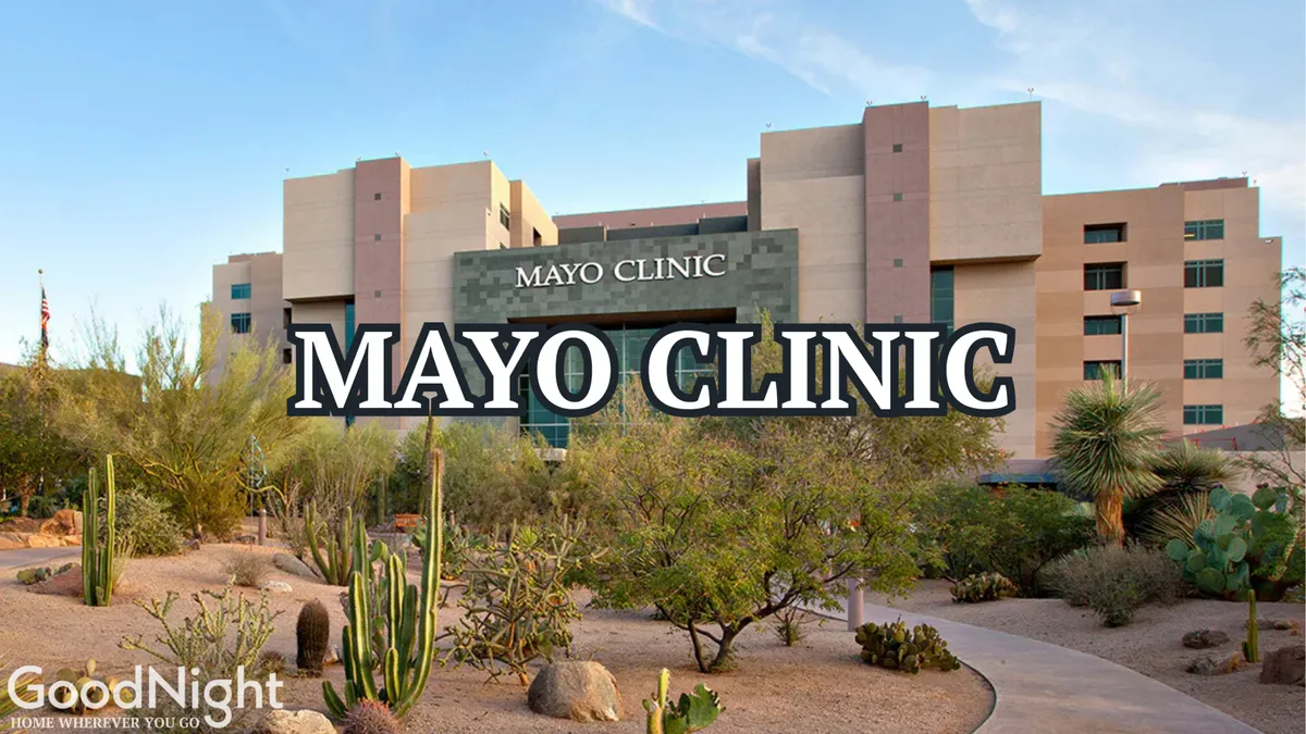 This exterior image features the Mayo Clinic building surrounded by desert landscaping, cacti, and a paved pathway. The professional yet welcoming mood is set by the facility's clean lines and natural integration with its surroundings.