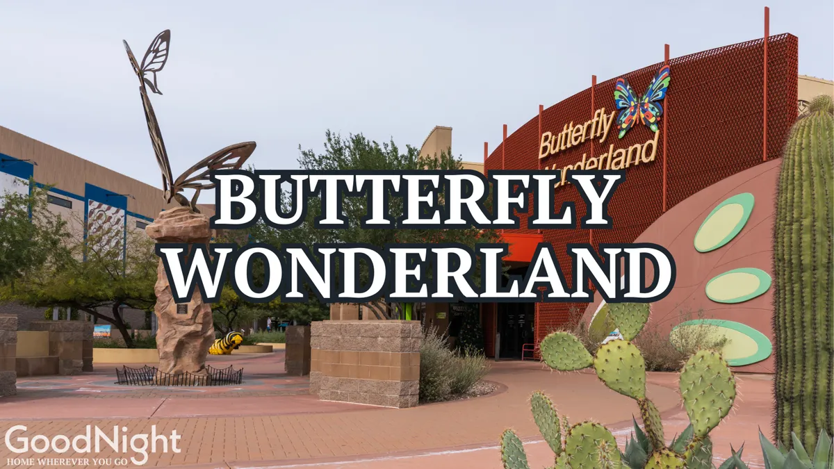 The entrance to Butterfly Wonderland featuring a large butterfly sculpture, visible signage, cacti, and a landscaped pathway. The scene is inviting and playful, suggesting interactive, family-friendly experiences.